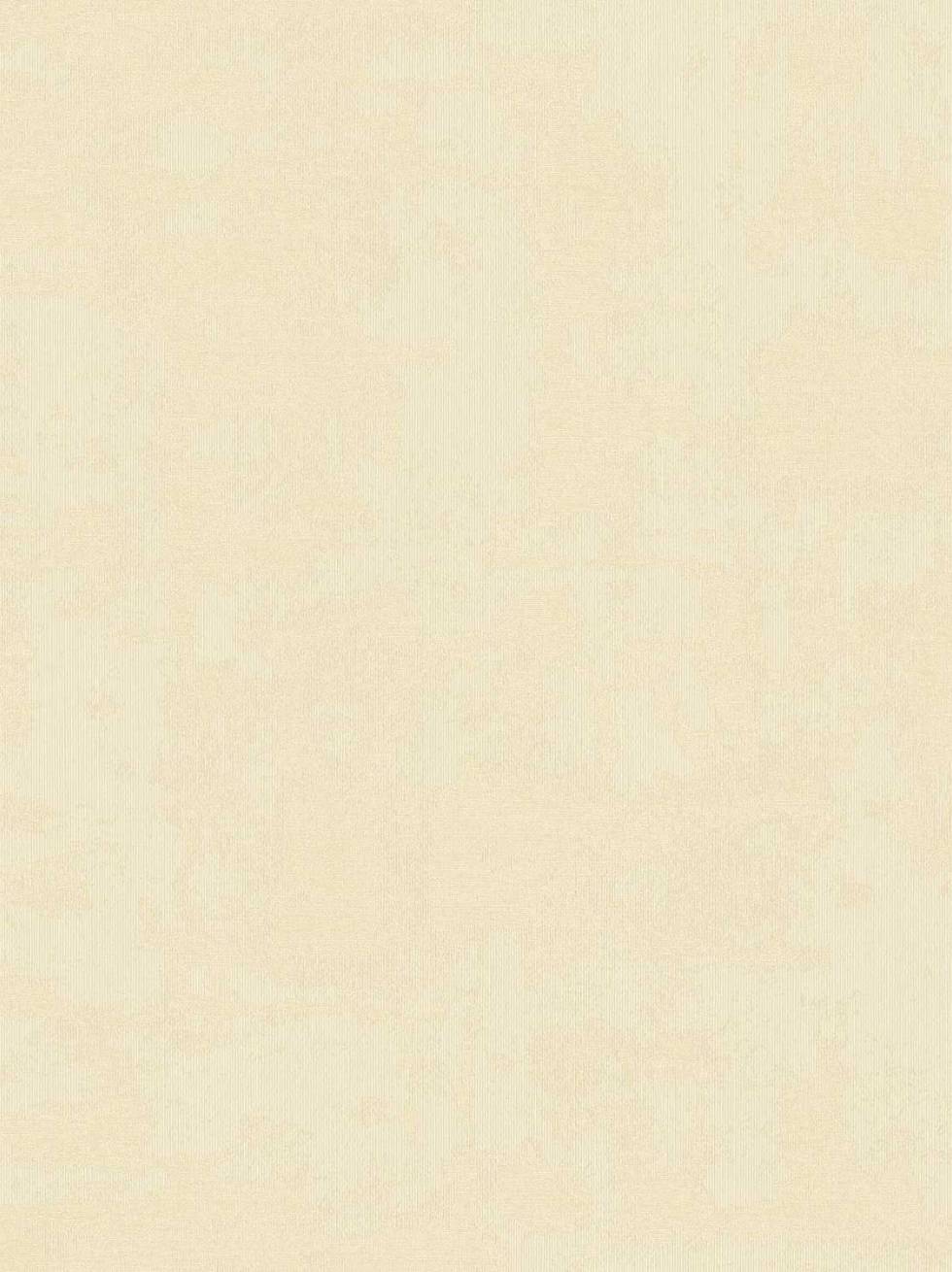 Papel Pintado Liso Desgastado